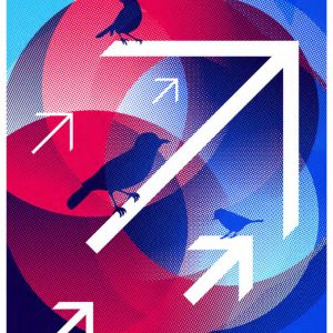 MIGRATION SIMPLIFIÉE